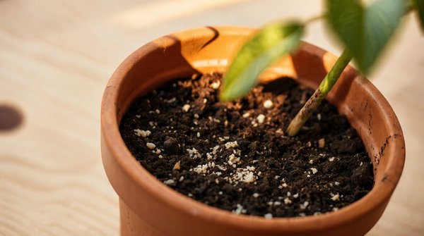 Transform your foundation using innovative soil substitution methods